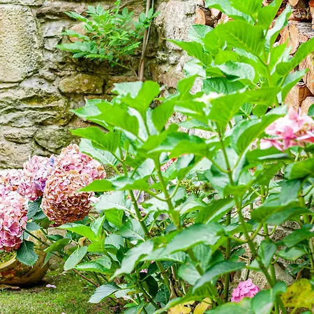 펜션 La Casa De Piedra