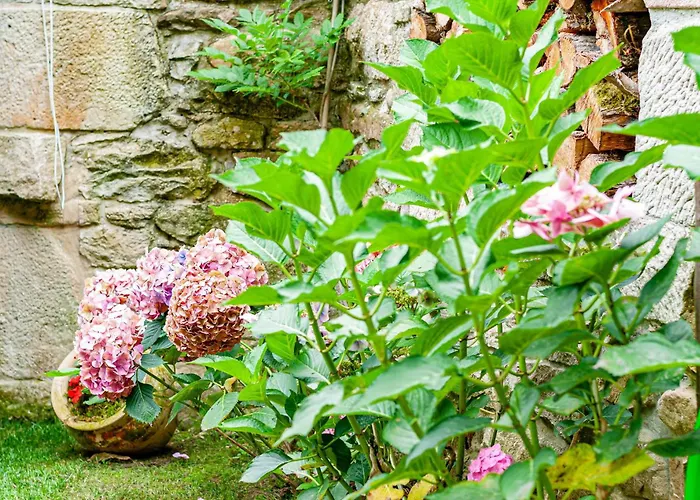 Prázdninový dům La Casa De Piedra